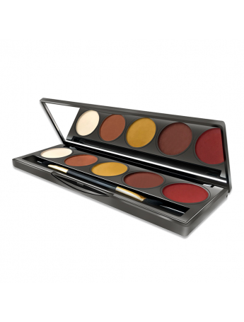 Shining Color Eyeshadow Makeup Palette